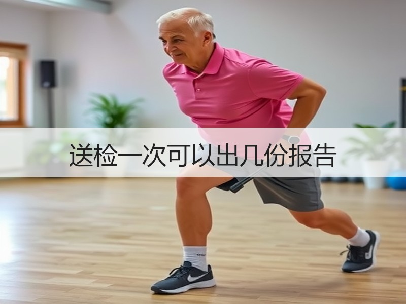 送检一次可以出几份报告